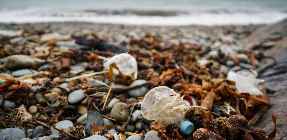 plastic bottles lie crushed on the beach
