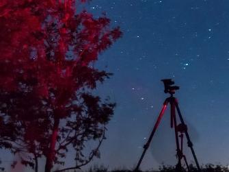 Tripod looking up at the night sky. Red tree next to the tripod.