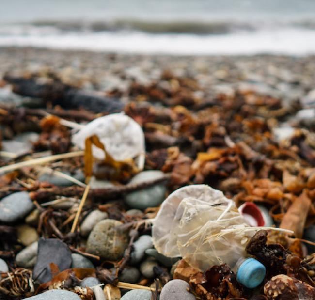 plastic bottles lie crushed on the beach