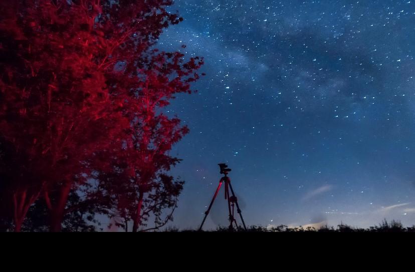 Tripod looking up at the night sky. Red tree next to the tripod.