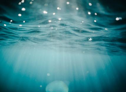 a photograph taken below water with light shining through